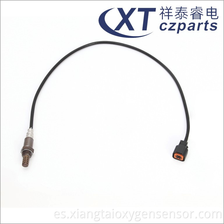 Oxygen Sensor